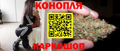 спайс Малгобек