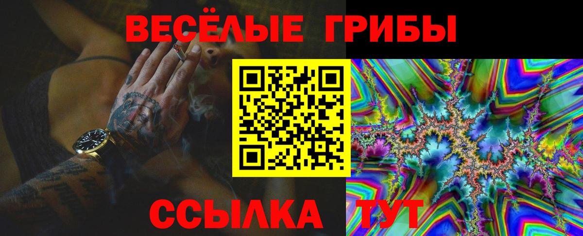 Уварово  Галлюциногенные грибы Psilocybine cubensis  продажа наркотиков  Вход с VPN 
